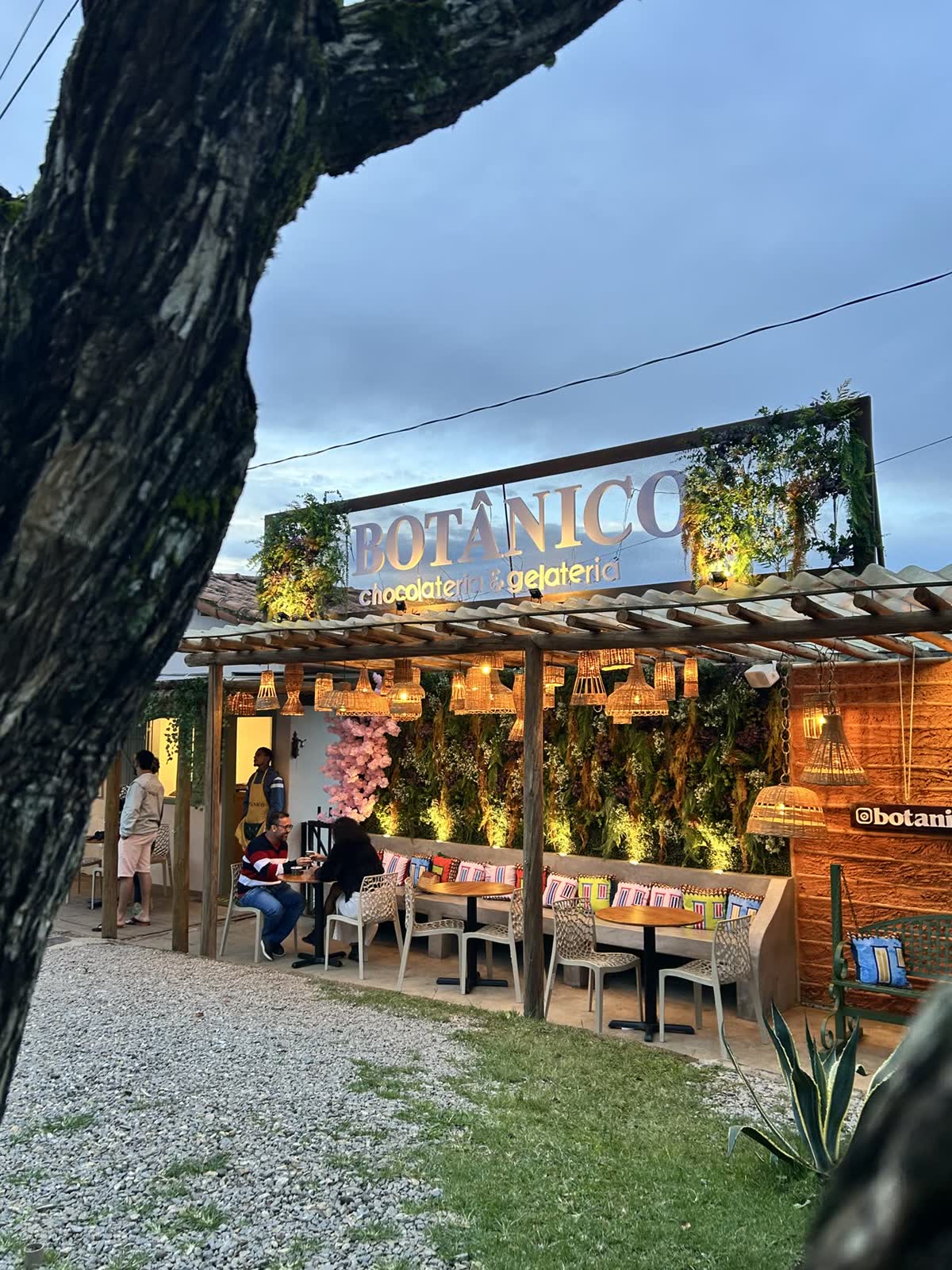Fachada da Botânico vista por entre uma árvore